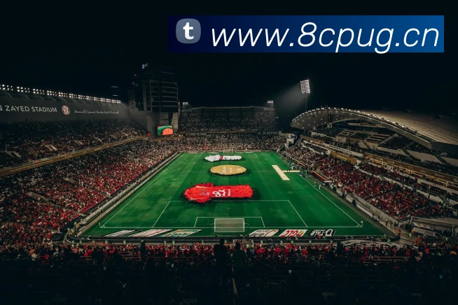 多媒体互动体验